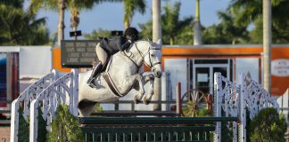 Libbie Gordon Pilots High Society to Top Honors in the Small Junior Hunter 3’6” 16-17
