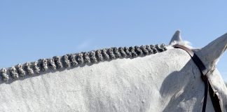 Braiding Her Own Horse is Part of Amateur and Lawyer Erin Prutow’s Show Prep
