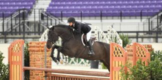 Havens Schatt Dominates Derby Friday at WEC—Ocala Winter Spectacular 7