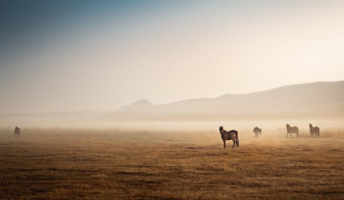 joseph-daniel-7FprFl6VIu8-unsplash