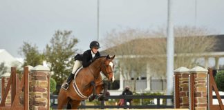 Dorrie Douglas and MTM Dashing Top $15,000 WEC Derby 3′ Open