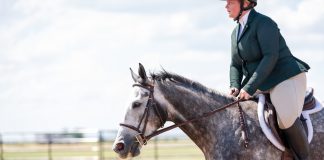 I Am a Fat Equestrian and I’m Never Dieting Again