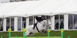 Tracy Fenney Dominates Competition in the $100,000 HITS Grand Prix