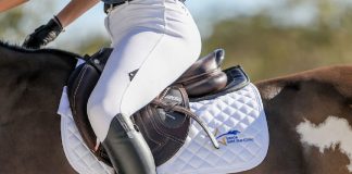 USHJA Announces 2021 USHJA Gold Star Clinic – East Participants