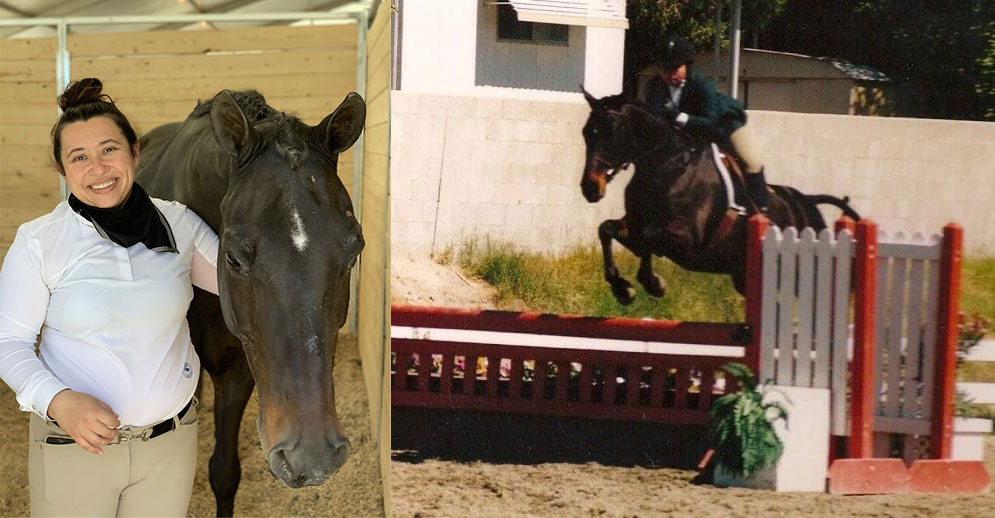 A 30YearOld Show Horse Proves Longevity Is Not “Wishful Thinking