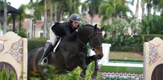 Margot Peroni and Orlon Soar to the Top in Amateur-Owner Hunter 3’3” 36 and Over Hunter Division