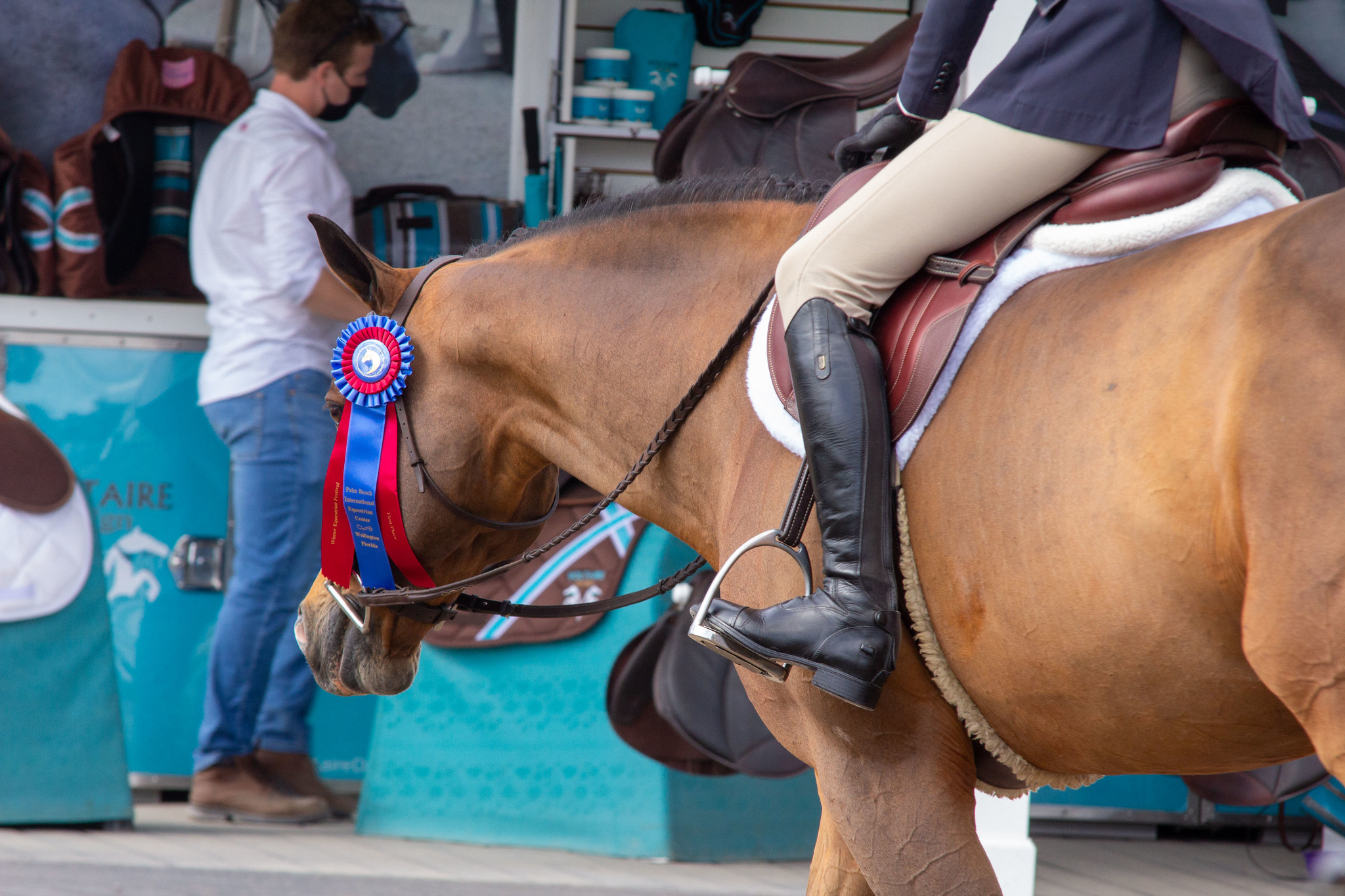 US Equestrian and National Collegiate Equestrian Association Launch