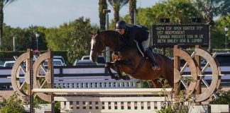 Tamara Provost and Independent Top the ESP Open Hunter 3’3” Division