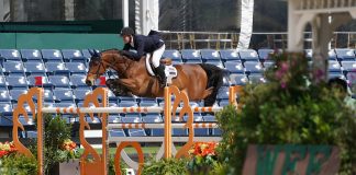 McLain Ward and Catoki Conquer the $37,000 Douglas Elliman Real Estate 1.45m CSI5* to Open WEF 9