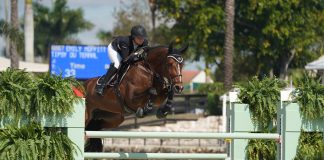 Emily Moffitt and Tipsy Du Terral Top the $37,000 Adequan WEF Challenge Cup Round 8 CSIO4*