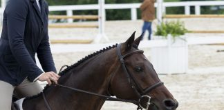 Daniel Stewart’s Riding Rehearsals