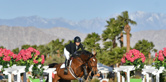 Melody Liu and Devi Ferreira Win NAYC Trial Classics at Desert Circuit VIII