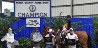 A Winning Welcome for Avery Erickson at Pin Oak Charity Horse Show