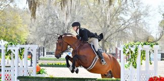 Dorothy Douglas goes Two for Two in Featured Competition at Ocala Winter Finals