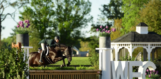 Tracy Fenney and MTM Animated top $15,000 WEC Derby 3′ Open at Winter Spectacular 11
