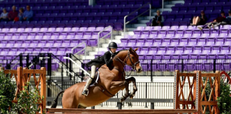 Addison McQuaker and Golden Ticket Notch Their Second Win in $15,000 WEC Derby 3′ Non Pro