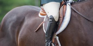 There Will Be No Future Horse Trainers If All You Want to Do is Ride Nice Horses