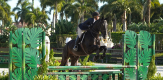 Tracey Gorin-Byrne Rides Honor Hill’s Giovanni to the Win the Bruno Delgrange Palm Beach Adult Medal