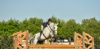 Avery DeYoung and Anna Mayes Among Equitation Winners at Pin Oak Charity Horse Show