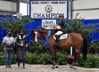 Mackenzie Hudson Headlines Amateur-Owner Jumpers at Pin Oak Charity Horse Show