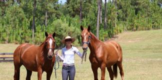 Putting the Spotlight on Purina Omega Match