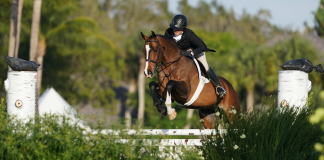 Colvin, Benjamin, and Marnell Earn Victories in the $10,000 USHJA National Hunter Derby Hunt & Go
