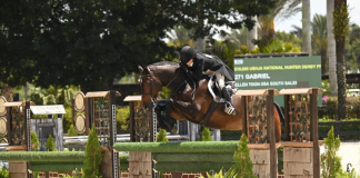 Ellen Toon and Gabriel are Angelic to Win $10,000 USHJA National Hunter Derby