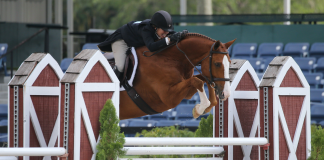 Jennifer Bliss and Face The Music are Unbeatable in the $10,000 USHJA National Hunter Derby at ESP Spring II