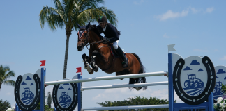 Menezes Masters the $37,000 JTWG Qualifier CSI3* with H5 Elvaro