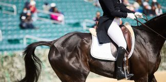 It’s In the Details: The Quarter Marks of Land Rover Kentucky Three-Day Event
