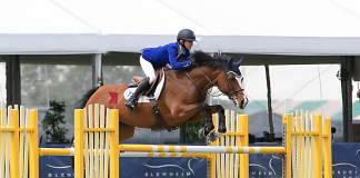 Hillary Ridland and Guapa Win $20,000 1.35m Bronze Tour Classic at Blenheim Spring Classic III