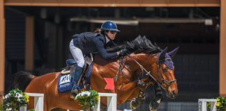 Tryon Welcome 3: Taylor Land Tops David O’Brien’s Three Double-Clears for Classic Win with Get Go
