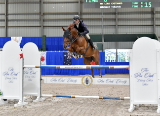 Tokaruk Show Stables Takes Top Honors at Pin Oak Charity Horse Show