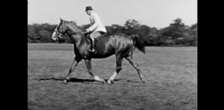 Vladimir Littauer and the Art of Forward Riding