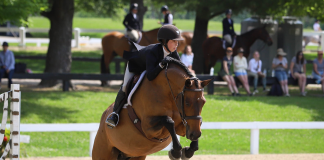 Vanessa Mazzoli, Kelly Corrigan and Ainsley Sadlo Tie for Title of Grand Amateur-Owner Hunter Champion at Kentucky Spring Classic