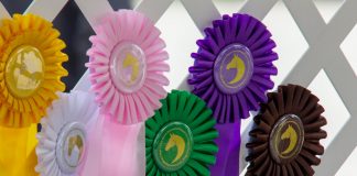 Adult Amateurs Bring the Fun Back to Showing With a Special Award