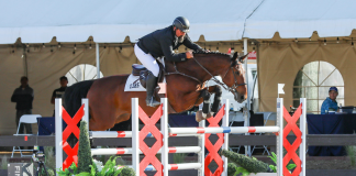 Guy Thomas Races to the Winner’s Circle in $10,000 CWD 1.40m Speed Classic