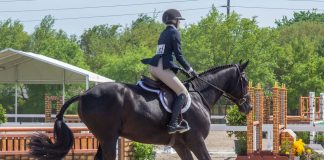 Questions and Conundrums from a Horse Show Dad