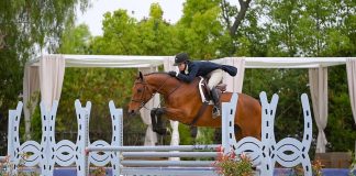 Are “Hunt & Go” Derbies a Yay or Nay?