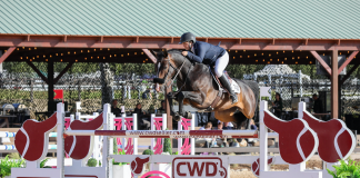Hometown Hero Jamie Taylor, Races To Victory in $10,000 CWD 1.40m Speed Classic at Nilforushan Equisport Events’ Temecula Valley National