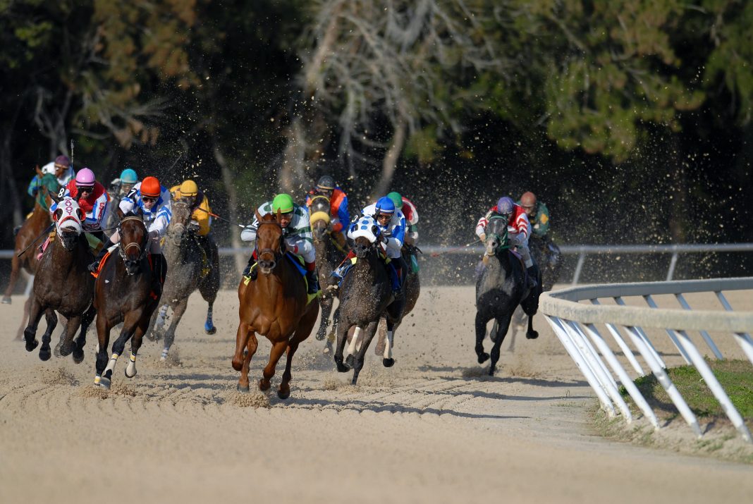 derby favorites