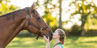 The Senior Horse Project: Allison & Maverick