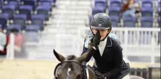 Golden Oldies Ponies Excel for Decades