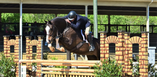 Alden, Wynne Take Tricolors at Lexington Spring Encore