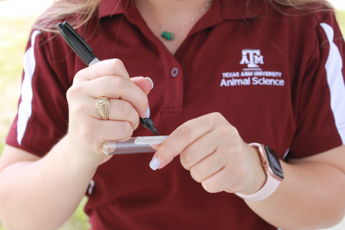 texas-a-m-study