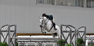 A Second Consecutive WEC Ocala 3’6″-3’9″ Hunter Derby Win for Erin McCabe Clayton and Champs Élysées