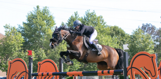 Nicole Haunert and Calgary IV Clinch the Win in $25,000 Markel Insurance Grand Prix