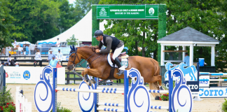 Rodrigo Pessoa and Venice Beach Emerge Victorious in $37,000 Power & Speed Stakes CSI4* at Upperville Colt & Horse Show