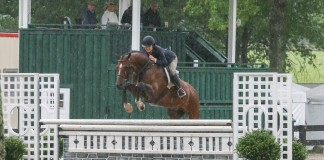 Stephanie Danhakl Earns Grand Amateur-Owner Hunter With Bright Side at Upperville Colt & Horse Show