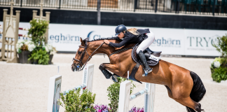 Kristen VanderVeen and Bull Run’s Divine Fortune Fly to $37,000 Power & Speed Stake CSI 3* Win